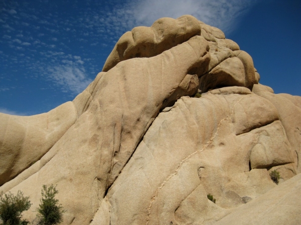 Zdjęcie ze Stanów Zjednoczonych - Joshua Tree N.Park