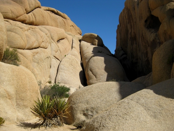 Zdjęcie ze Stanów Zjednoczonych - Joshua Tree N.Park