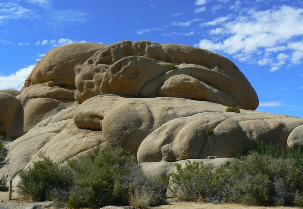 Zdjęcie ze Stanów Zjednoczonych - Joshua Tree N.Park