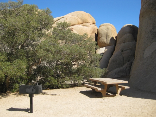 Zdjęcie ze Stanów Zjednoczonych - Joshua Tree N.Park