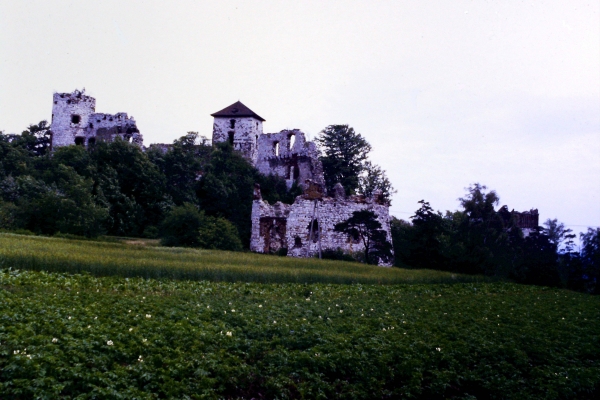 Zdjęcie z Polski - Rudno