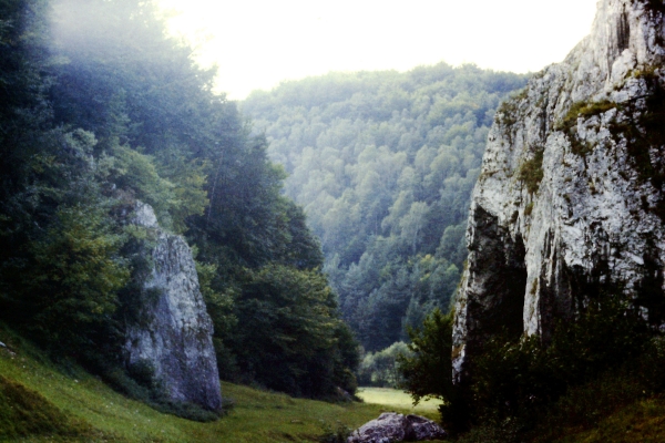 Zdjęcie z Polski - dolinki