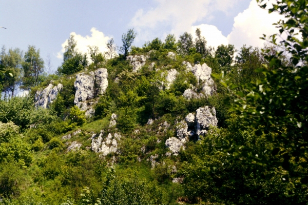 Zdjęcie z Polski - dolinki