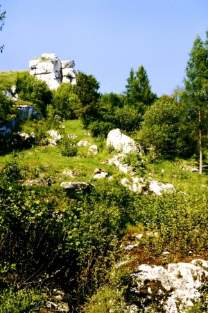 Zdjęcie z Polski - dolinki