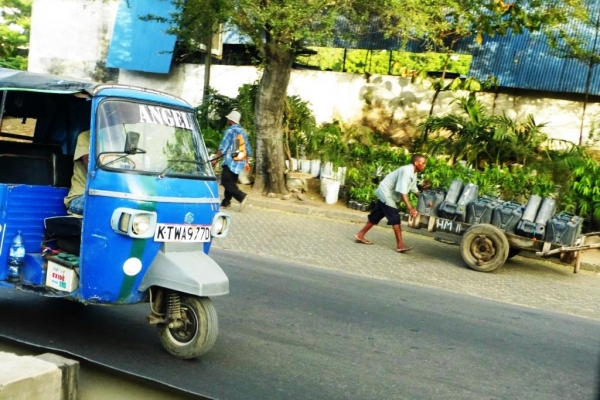 Zdjęcie z Kenii - Mombasa