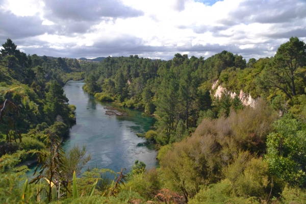 Zdjęcie z Nowej Zelandii - Rzeka Waikato River