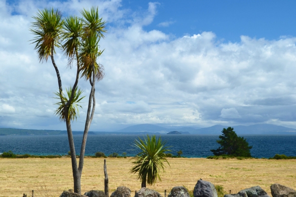Zdjęcie z Nowej Zelandii - Lake Taupo