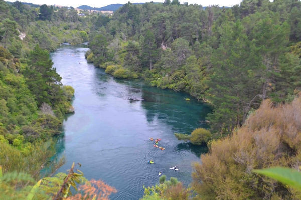 Zdjęcie z Nowej Zelandii - Waikato River