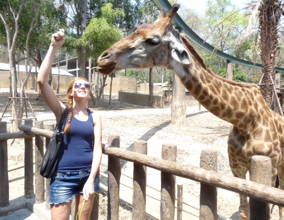 Zdjęcie z Tajlandii - Karmienie żyrafki w Chiang Mai Zoo