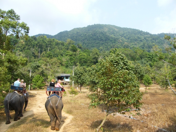 Zdjęcie z Tajlandii - Trekking na słoniach na Koh Chang