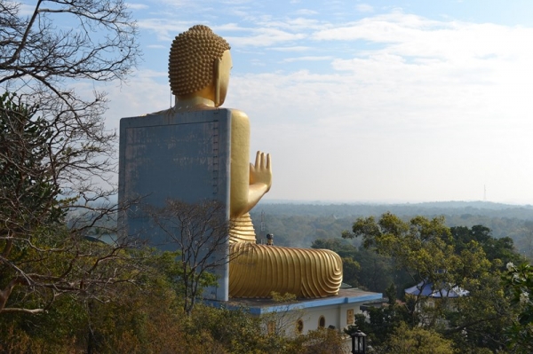 Zdjęcie ze Sri Lanki - DAMBULLA