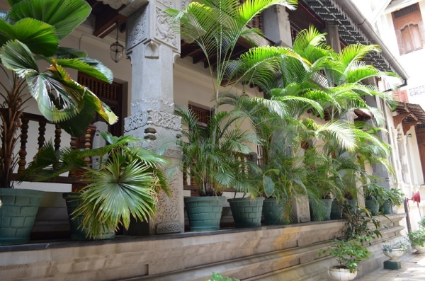 Zdjęcie ze Sri Lanki - KANDY