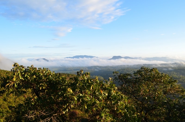Zdjęcie ze Sri Lanki - HORTON PLAINS