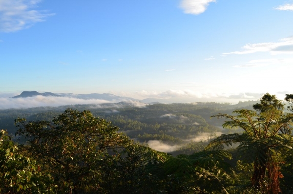 Zdjęcie ze Sri Lanki - HORTON PLAINS - ROWNINY HORTONA ROBIA MEGA WRAZENIE