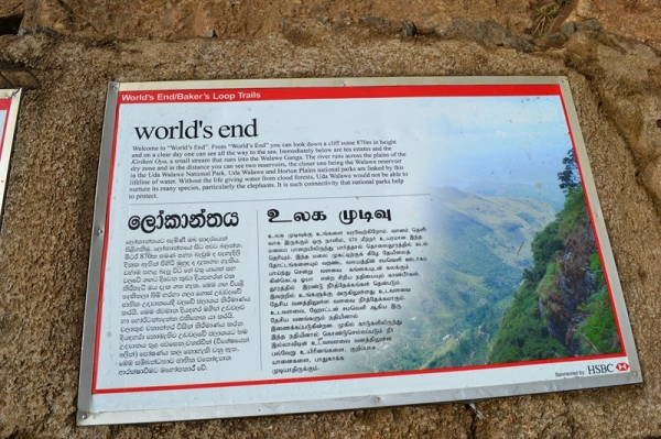 Zdjęcie ze Sri Lanki - 