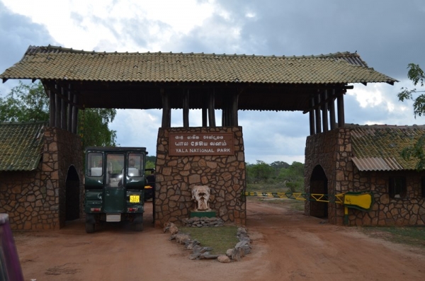 Zdjęcie ze Sri Lanki - YALA NATIONAL PARK