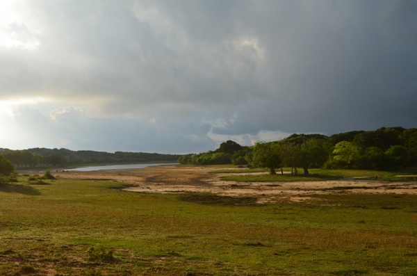 Zdjęcie ze Sri Lanki - YALA NATIONAL PARK