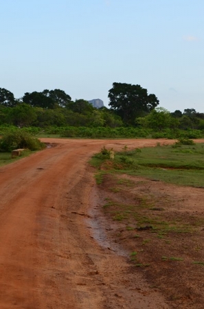 Zdjęcie ze Sri Lanki - YALA NATIONAL PARK