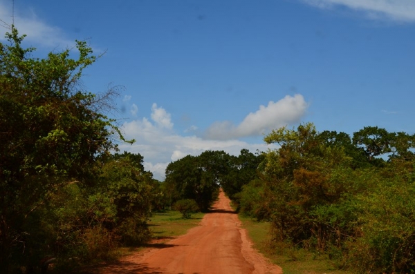 Zdjęcie ze Sri Lanki - YALA NATIONAL PARK