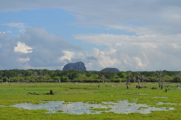 Zdjęcie ze Sri Lanki - YALA NATIONAL PARK