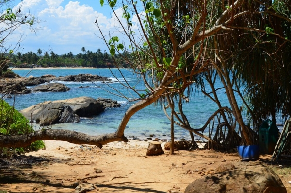 Zdjęcie ze Sri Lanki - TANGALLE