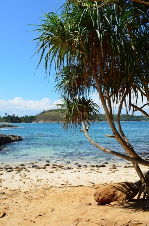 Zdjęcie ze Sri Lanki - TANGALLE