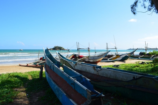 Zdjęcie ze Sri Lanki - 