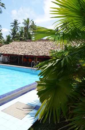 Zdjęcie ze Sri Lanki - SURFING VILLA