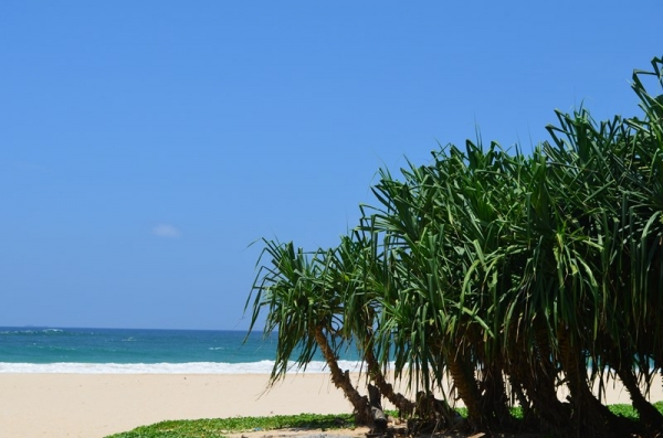 Zdjęcie ze Sri Lanki - KOGGALA