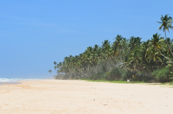Zdjęcie ze Sri Lanki - KOGGALA