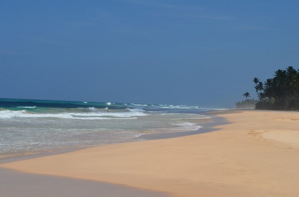 Zdjęcie ze Sri Lanki - KOGGALA
