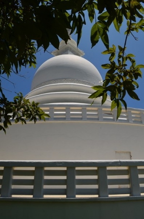 Zdjęcie ze Sri Lanki - 