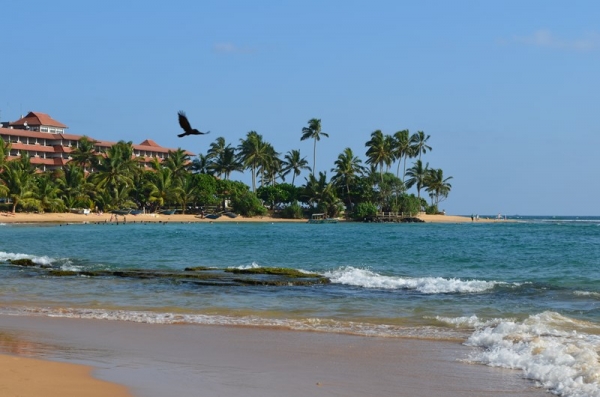 Zdjęcie ze Sri Lanki - HIKKADUWA