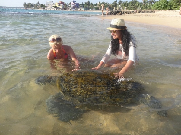 Zdjęcie ze Sri Lanki - A TAKA NIESPODZIANKA CZEKALA NA NAS NA PLAZY W HIKKADUWIE :)