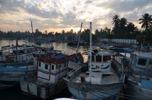 Zdjęcie ze Sri Lanki - MIRISSA WYPLYWAMY NA OBSERWACJE PLETWALI