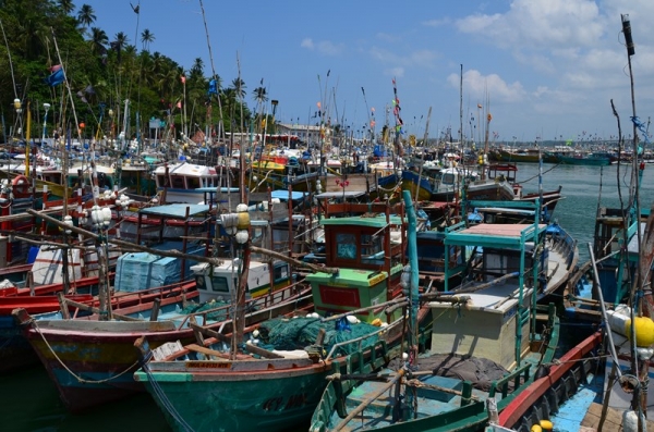 Zdjęcie ze Sri Lanki - PORT W MIRISSIE