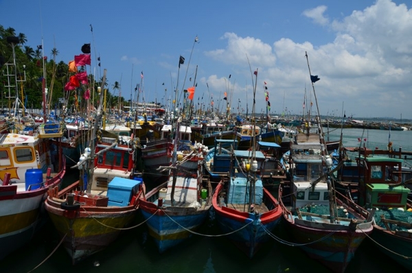 Zdjęcie ze Sri Lanki - PORT W MIRISSIE