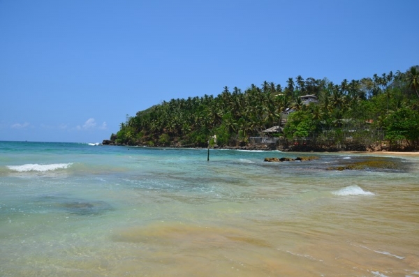Zdjęcie ze Sri Lanki - MIRISSA NOSI MIANO NAJPIEKNIEJSZEJ PLAZY NA SRI LANCE