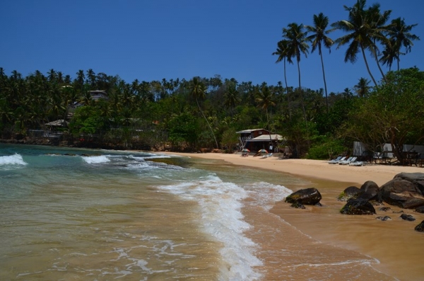 Zdjęcie ze Sri Lanki - MIRISSA BEACH
