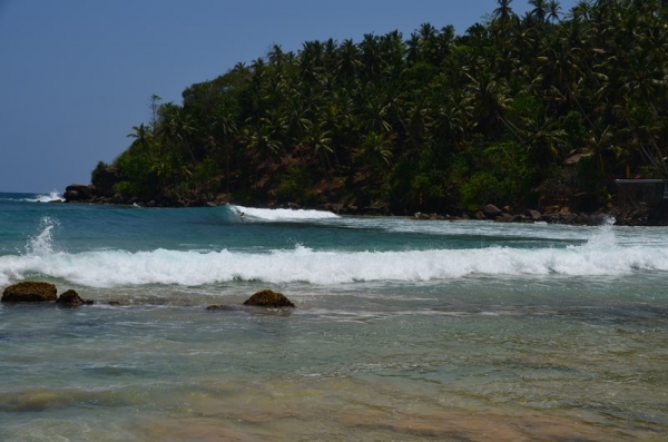Zdjęcie ze Sri Lanki - MIRISSA BEACH