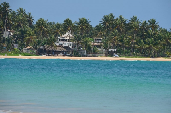 Zdjęcie ze Sri Lanki - MIRISSA BEACH