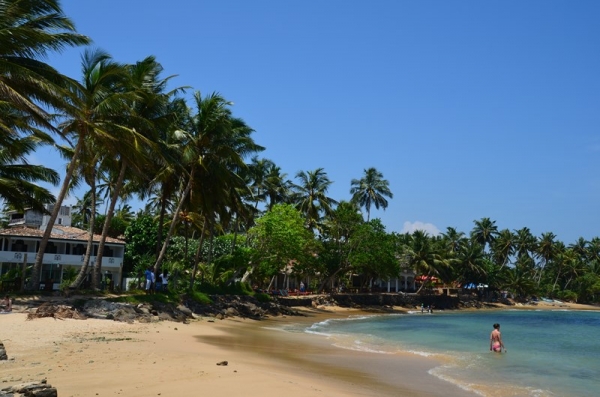 Zdjęcie ze Sri Lanki - MIRISSA BEACH