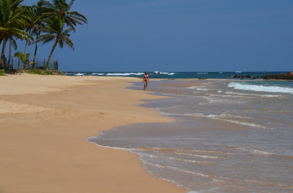 Zdjęcie ze Sri Lanki - MIRISSA BEACH