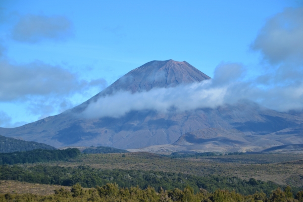 Zdjęcie z Nowej Zelandii - W drodze z Taupo do Wellington i wulkan Mt Ruapehu