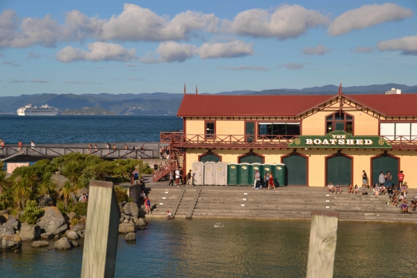 Zdjęcie z Nowej Zelandii - Port i widok na Wellington Harbour