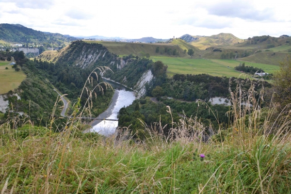 Zdjęcie z Nowej Zelandii - W drodze z Taupo do Wellington