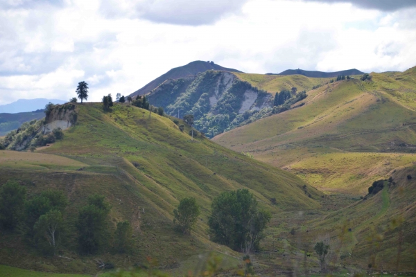Zdjęcie z Nowej Zelandii - W drodze z Taupo do Wellington