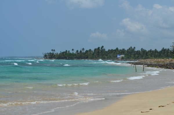 Zdjęcie ze Sri Lanki - AHANGAMA MIEJSCE NASZEGO POBYTU