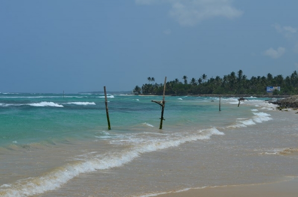 Zdjęcie ze Sri Lanki - AHANGAMA MIEJSCE NASZEGO POBYTU