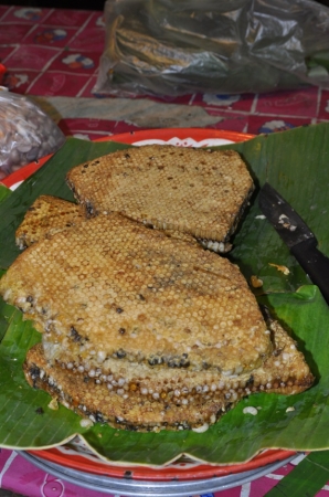 Zdjęcie z Tajlandii - larwy na przekąskę